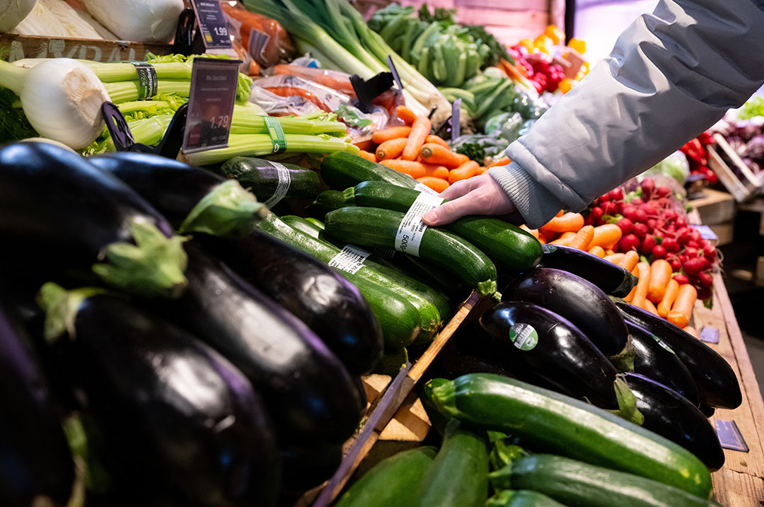 ‚Alle Zeichen für Aubergine auf dem Grün‘